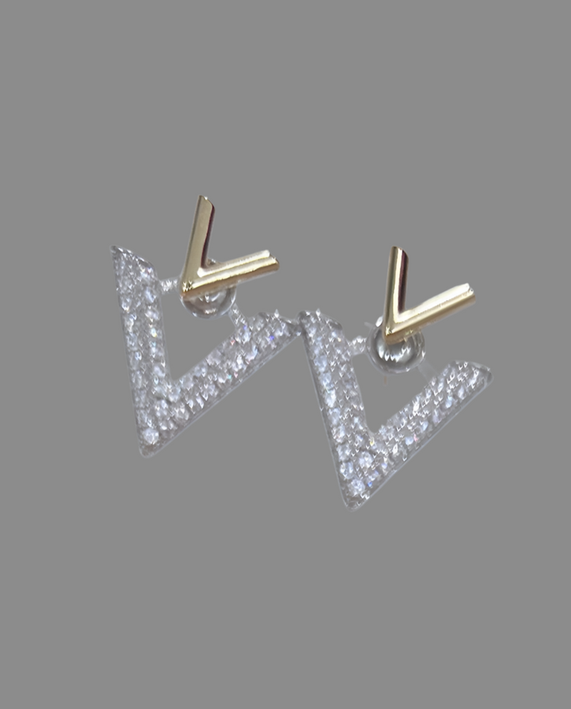 Elegant earrings